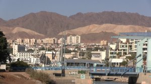 дельфиний риф