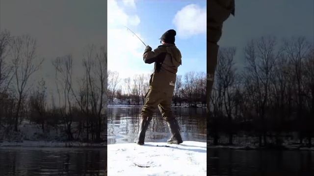 Береговая щучка на Jackall RV-Minnow #jackal  #fishing #norstream #рыбалка #спиннинг
