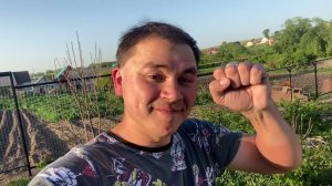 Әбри Хәбриев - Үз кулларым белән ясалган койма