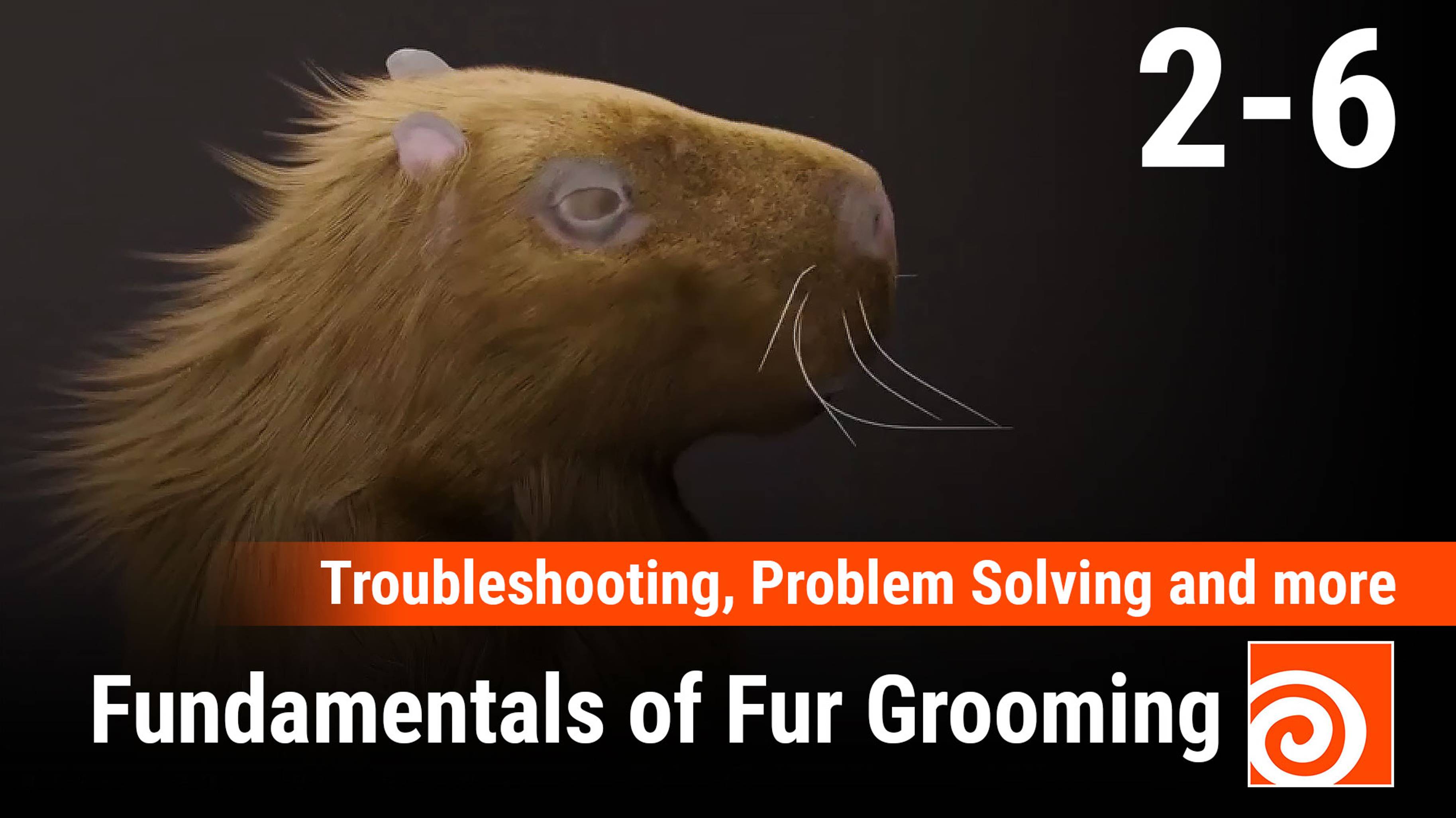 Fundamentals of Fur Grooming in Houdini
6 - Troubleshooting, Problem Solving and more