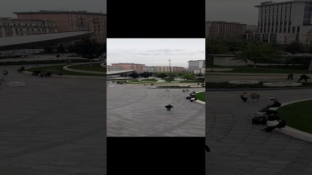 1000029716.mp4Москва.16.01.2025г.