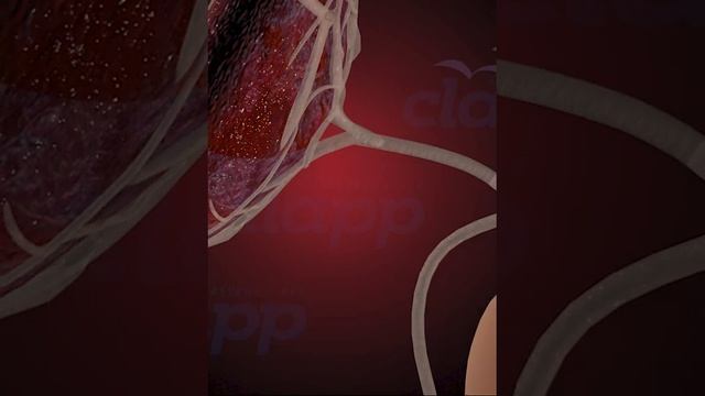 Precious Baby and its Protector inside the Womb (3D Animation)