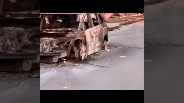 Пока Калифорния горит… они не худеют.