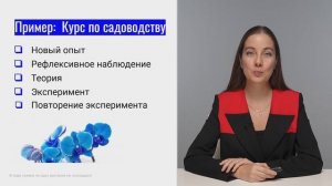 Цикл Колба