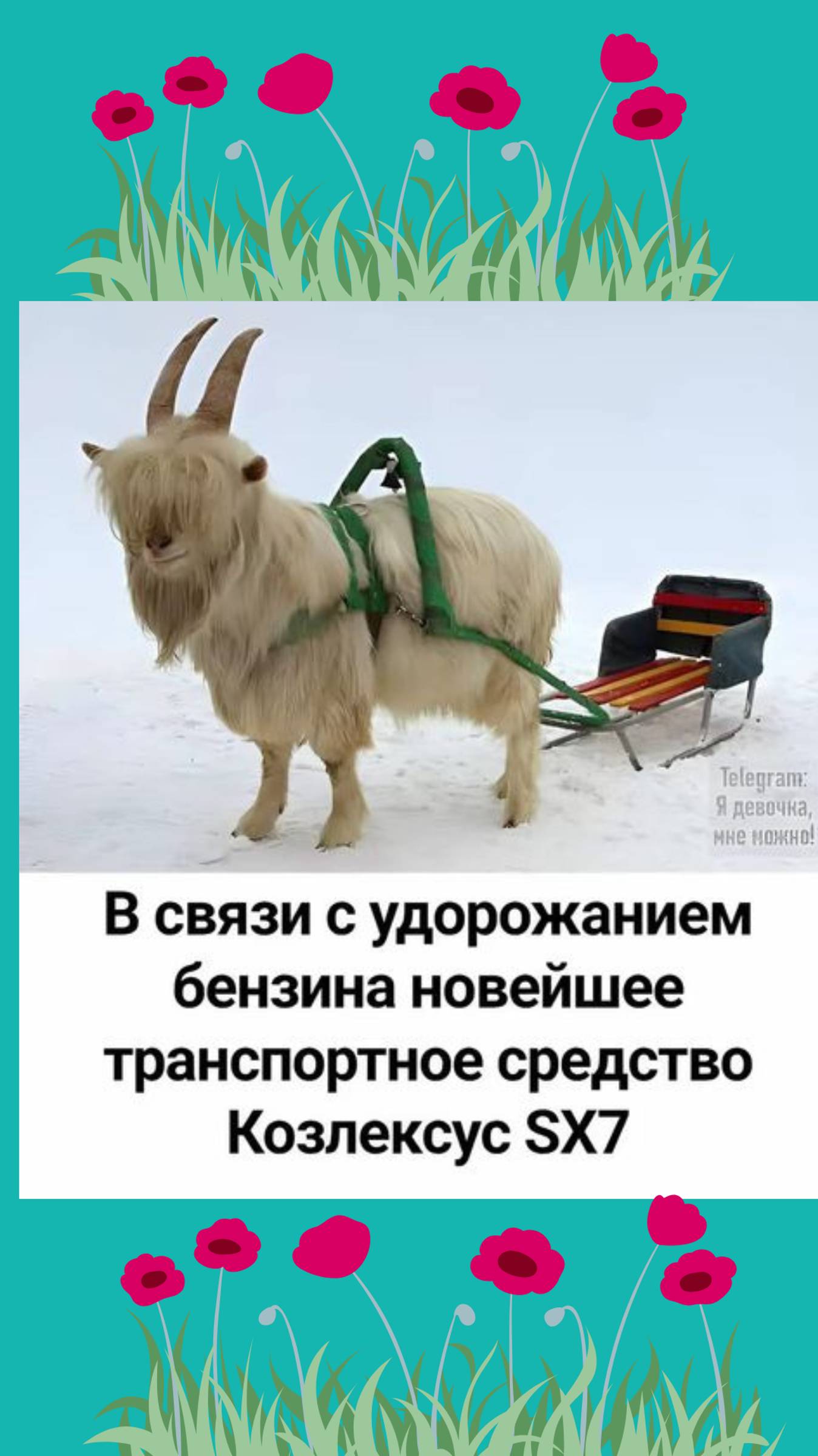 Юморнем, девчата!😋😂😍 #настроение #прекрасно #классно  #юмор # анекдот #позитив #смех   #счастье