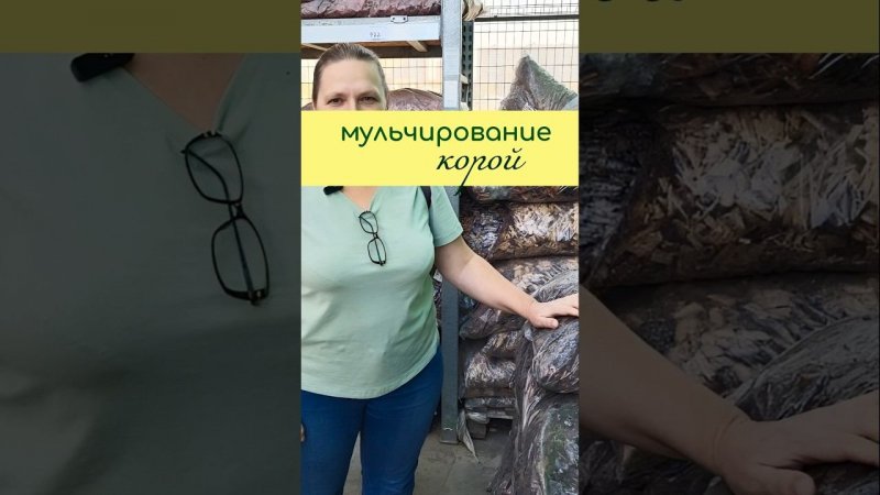 МУЛЬЧИРОВАНИЕ почвы