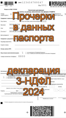 Прочерки в паспортных данных в декларации 3-НДФЛ за 2024 год на титульном листе. Паспорт не заполнен