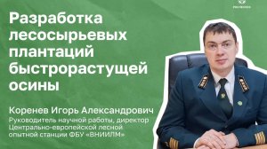 Разработка лесосырьевых плантаций быстрорастущей осины