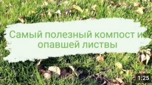 Самый полезный компост из опавшей листвы.