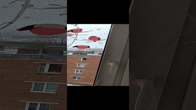 События и хорошие и плохие мы сами творим и привлекаем в свою жизнь.