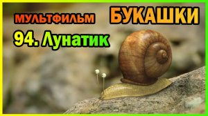 | Мультфильм | БУКАШКИ | 94. Лунатик |