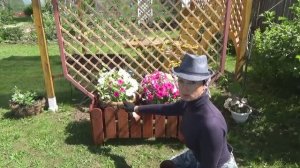 6 соток 21 июня года. Хроника.