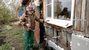 Архив 2022 г. Дрова свои, опилки покупные. Рогатый скот не дает прохода. Капустный эксперимент.