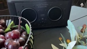RAINBO TECHNICS Satisfaction Mini black - Hi-Fi домашняя компактная колонка