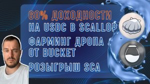 60% доходности на USDC в Scallop | Фарминг sCoins и дропа от Bucket на блокчейне SUI | Розыгрыш SCA