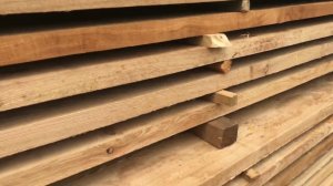 Сушка лиственницы в вакуумной камере