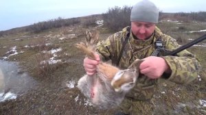 Охота на зайца сезон 2023-2024 №172