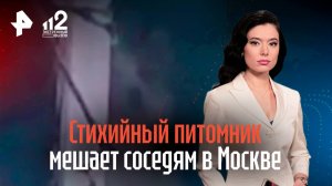 Стихийный питомник стал камнем преткновения в Москве: мешает соседям