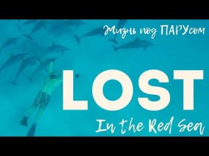 Lost in the Red Sea. Затерянный на рифах Красного моря.