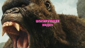 Кин - Конг нападение горилл Скар - Кинга ( Новая Империя 2024)