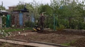 Как убить медведку