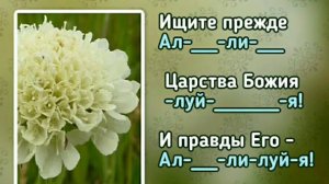 353 Ищите прежде Царства Божия (-)