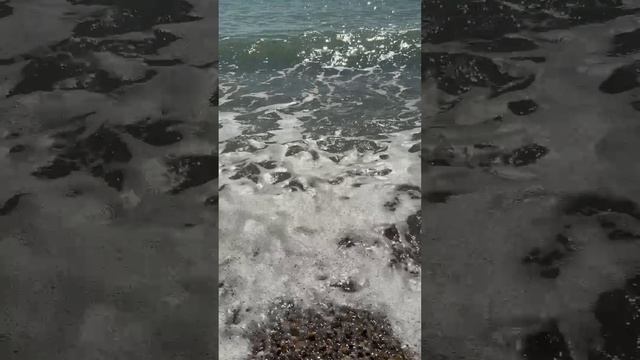 ЧЕРНОЕ МОРЕ СЕГОДНЯ🐬 ЕВПАТОРИЯ ЯНВАРЬ 2025 #rutube #черноеморе #мазутвкрыму #евпатория2025