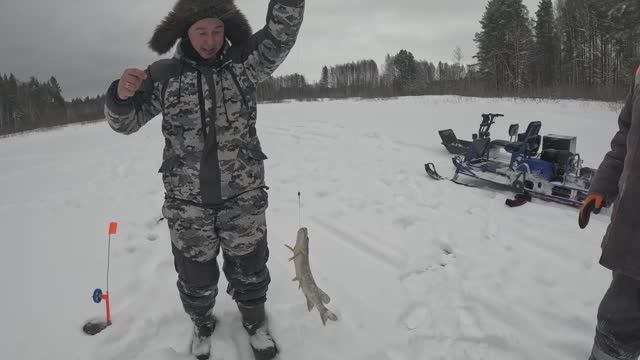 Едем на мотобуксировщиках "Альбатрос" проверять жерлицы смотреть онлайн