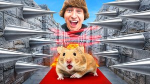 Я построил для хомяка лабиринт как в Майнкрафте!