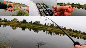 Микроджиг! Попал на раздачу окуня. Эта приманка снова сработала!