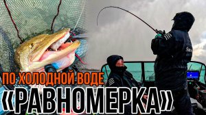 Основа ОСНОВ при Ловле Щуки - РАВНОМЕРНАЯ ПРОВОДКА | Как поймать ПАССИВНУЮ РЫБУ?