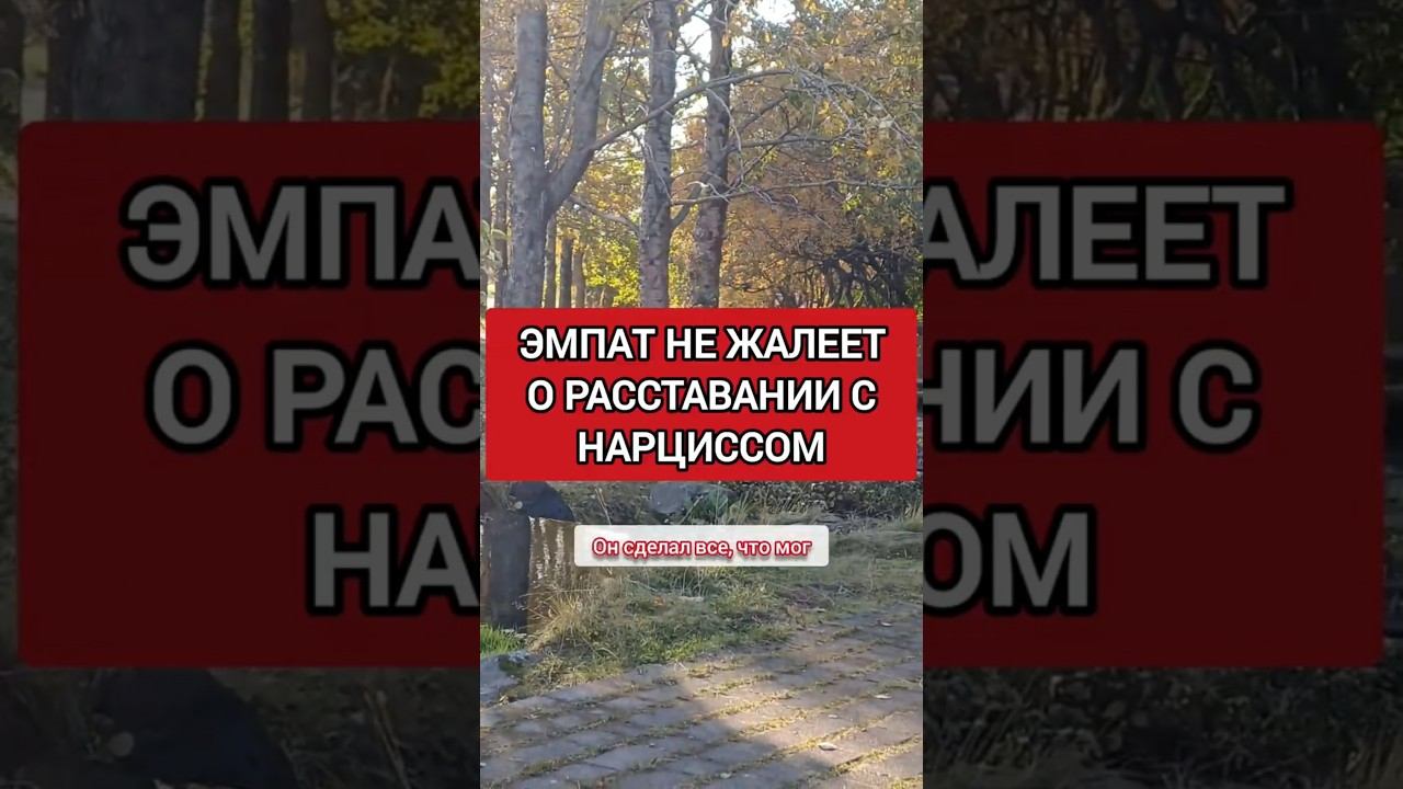 Эмпат Не Жалеет о Разрыве с Нарциссом #нарциссизм #нрл #отношенияснарциссом смотреть онлайн