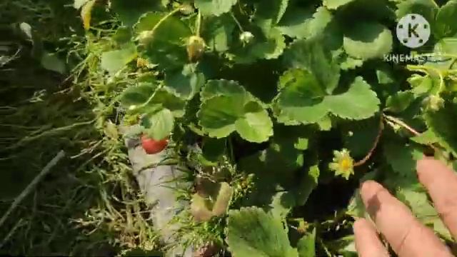 сентябрь 2024, работа кипит смотреть онлайн