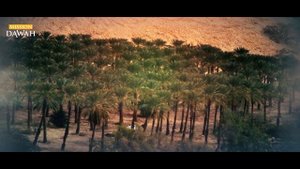 Жизнеописание Пророка Мухаммада #24: ЧУДЕСА переселения Пророка