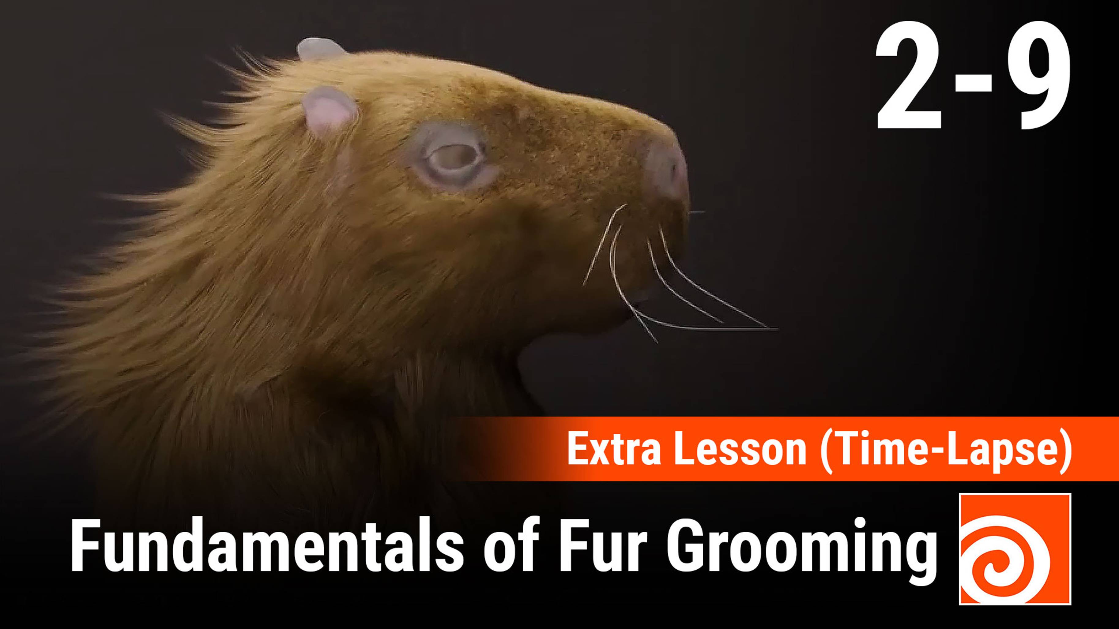 Fundamentals of Fur Grooming in Houdini
9 - Extra Lesson (Time-Lapse)