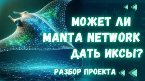 Может ли Manta Network дать иксы? Разбор проекта