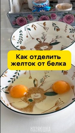 Как отделить желток от белка