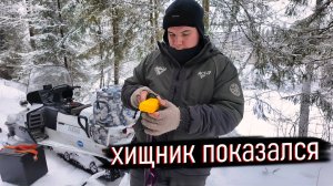 ХИЩНИК ПОД ВОДОЙ: РЫБАЛКА, КОТОРАЯ ДЕРЖАЛА НАС В НАПРЯЖЕНИИ!