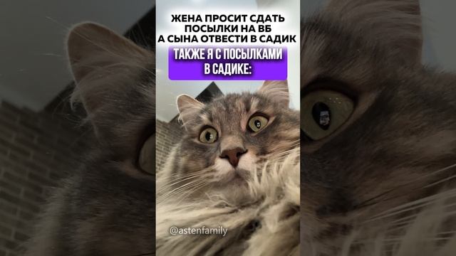 Жена попросила