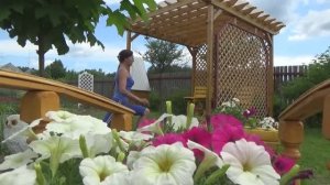 6 соток 10 июня 2020 года. Хроника.