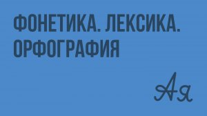 Фонетика. Лексика. Орфография. Видеоурок по русскому языку 8 класс