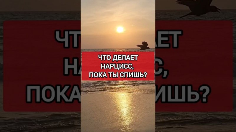 Что Делает Нарцисс,  пока ТЫ Спишь? #нарциссизм #нрл #отношенияснарциссом