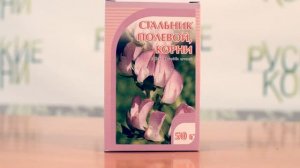 Стальник - применение и показания. Купить  стальник корень в фито-аптеке «Русские корни»