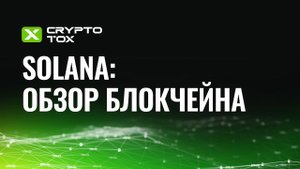 Solana - обзор блокчейна, кошельки, основные проекты