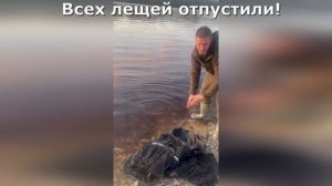 Наловили леща в запрет на реке Волхов. Рыбалка в Ленинградской области