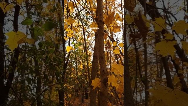 Любить, чувствовать, творить, прощать, радоваться, наслаждаться.