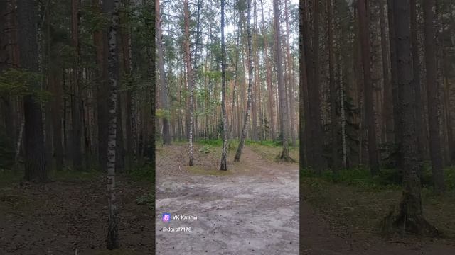 Дорогами Орловского полесья / ночлег у "Конной горы" #велопоход #орловскоеполесье #велотуризм #лес