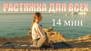14 МИН РАСТЯЖКА. Йога сидя. Йога для всех. Спокойная йога.