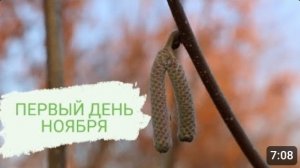 ПЕРВЫЙ ДЕНЬ НОЯБРЯ В МОЖЖЕВЕЛОВОМ САДУ