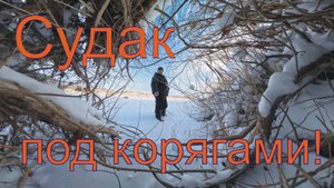 Нашел судака, поисковая рыбалка на Нуре